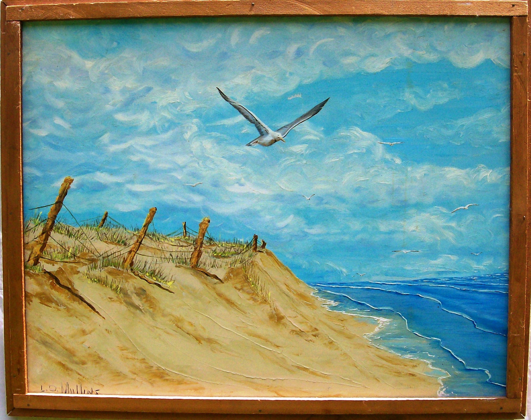 beachseagull.jpg