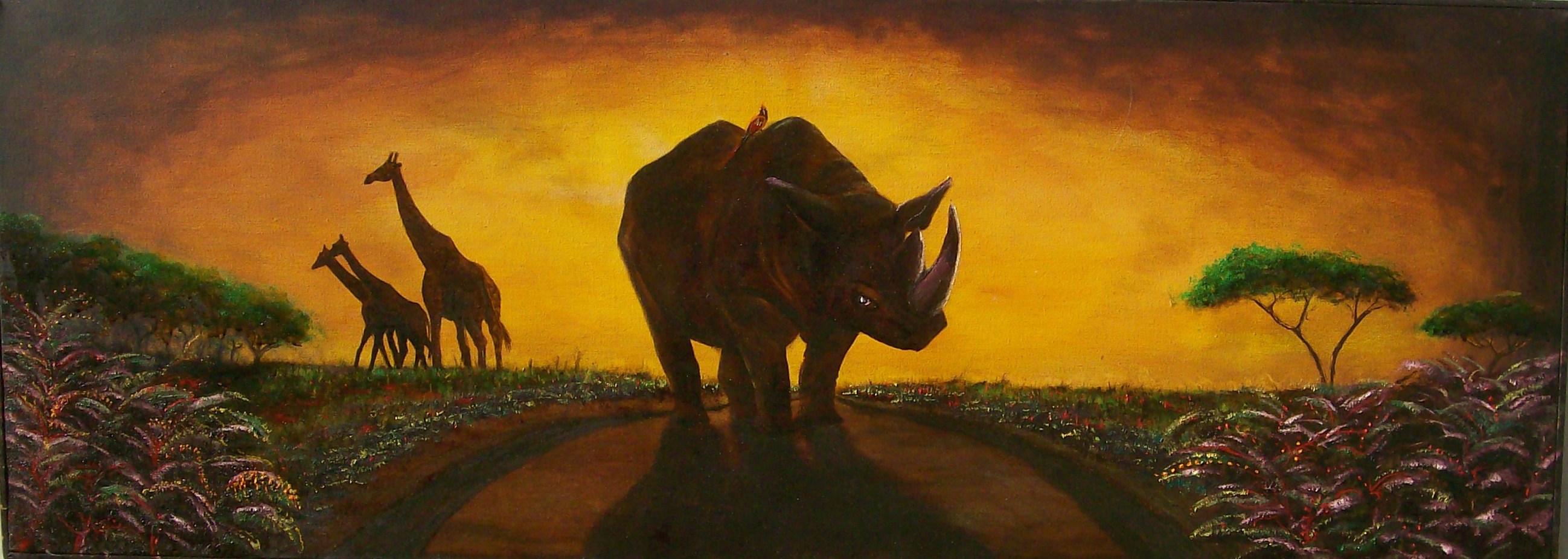 rhino.jpg